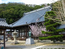 広島観光／広島県竹原／竹原街並み保存地区／照蓮寺