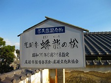 広島観光／広島県尾道／光明寺／蟠龍の松