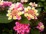 P1000044.JPG