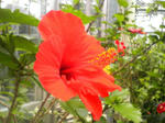 P1000055.JPG