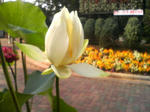 P1000067.JPG