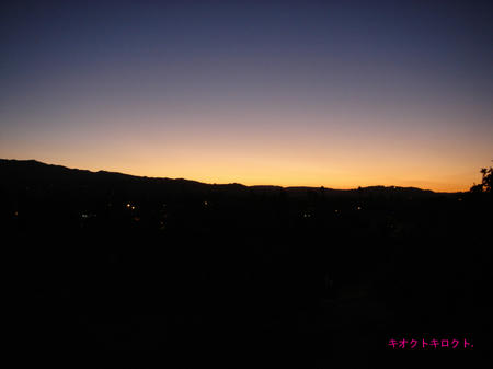 DSC01471.jpg