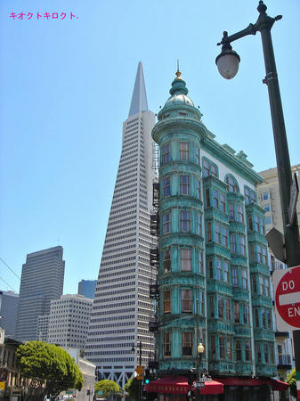 DSC01437.jpg