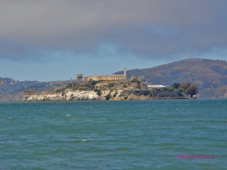 DSC01530.jpg