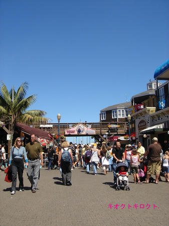 DSC01589.jpg