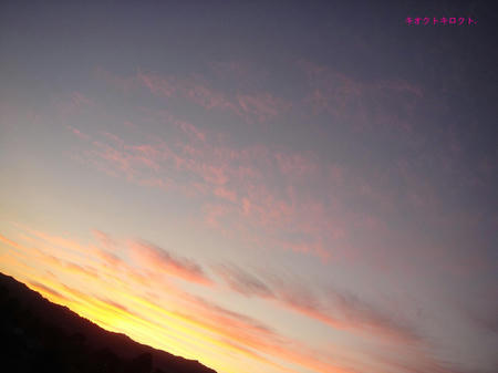 DSC01838.jpg