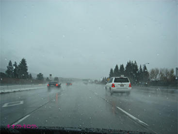 94169d6d.jpg