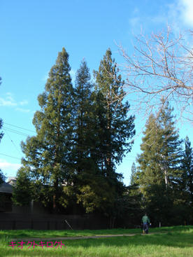 83a24445.jpg