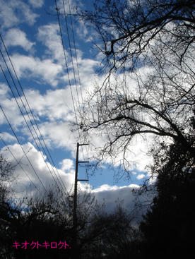482a8b65.jpg