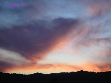 6e91e847.jpg