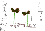 fimg_11196170982.png