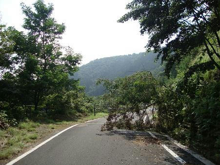 0815-3.JPG