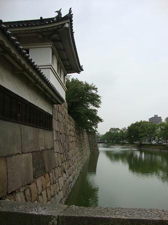 0828-3.JPG