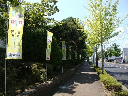 0907-9-8.jpg