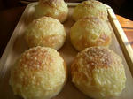 CIMG0096pann.jpg
