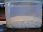 CIMG0272burogu.jpg