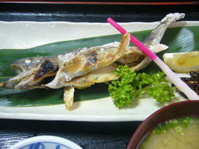 P1040105.JPG