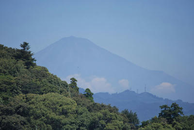 DSC_0045.jpg
