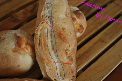 57127d65.jpeg