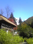 081027_1232~01.JPG