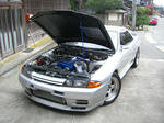 8c405d5e.JPG