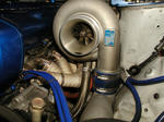 P1090001.jpg