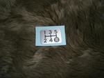 CIMG1795.JPG