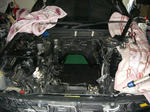 CIMG2135.JPG