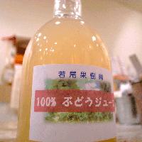 R0010501.gif