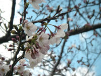 IMGP1290.jpg