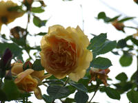 6c58f053.jpg