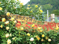 70c160d5.jpg