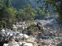 P6104458.jpg