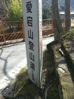 IMG_2578.jpg