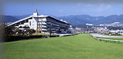 阪神競馬場