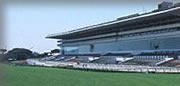 中山競馬場