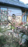 20090217151125.jpg