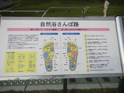 15bfa560.jpg