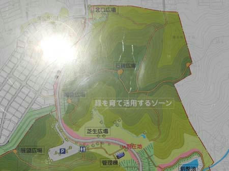 33f46a58.jpg