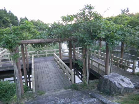 9c462b8c.jpg
