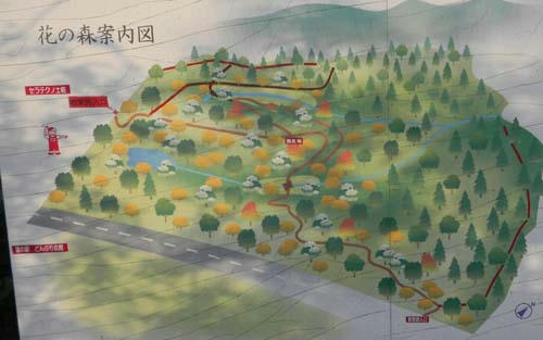6575033d.jpg