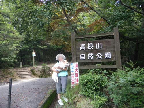 36d7b006.jpg