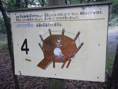 DSCN0456_10.jpg