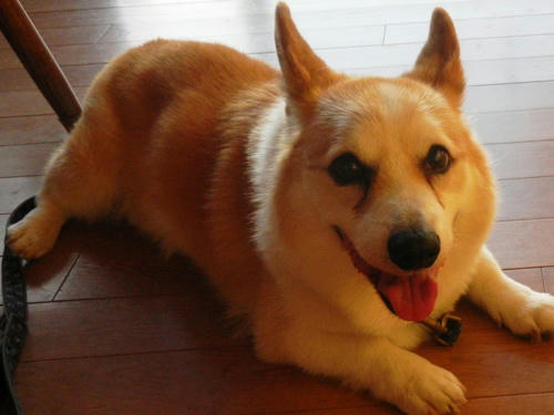 RSCN0490.jpg