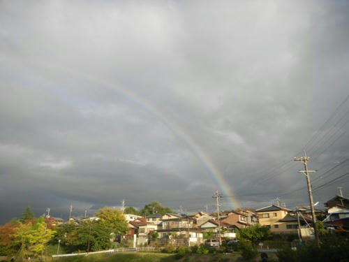 DSCN2425.jpg
