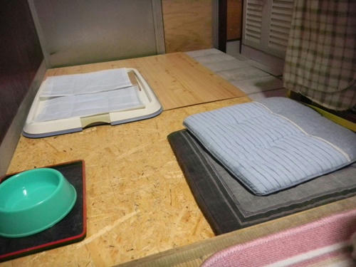 after.jpg