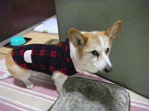 DSCN2985.jpg