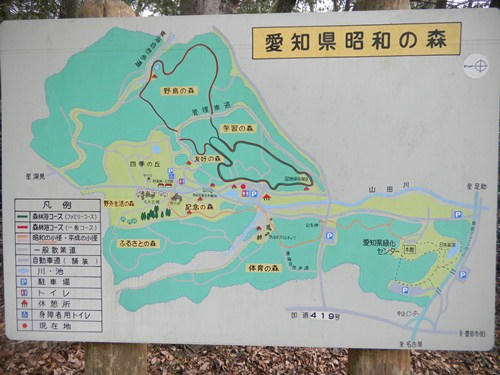 DSCN3111.jpg