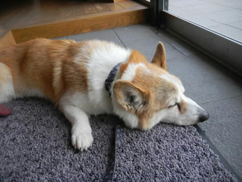 DSCN3140.jpg