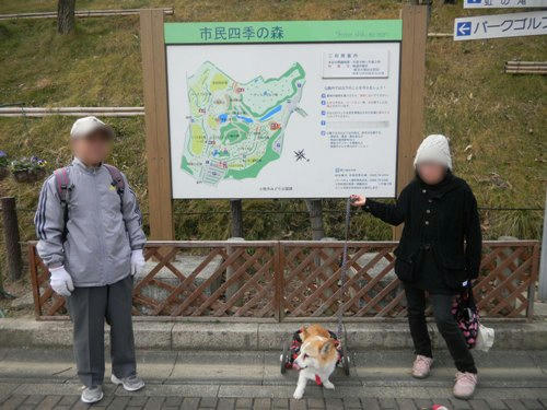 DSCN3176_11.jpg